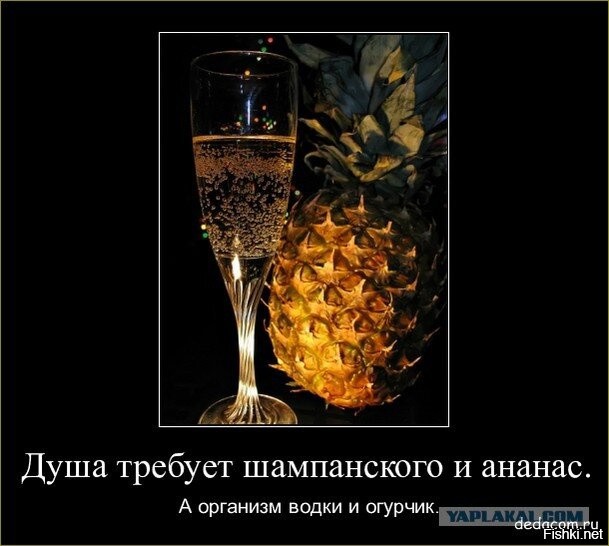 Большая тарелка позитива