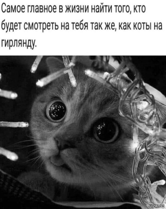 Солянка от 04.01.2026