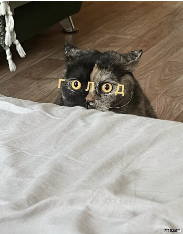 Это гипноз )