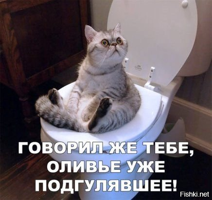 Солянка от 04.01.2026