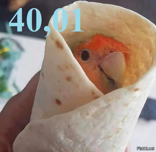 Солянка от 04.01.2026