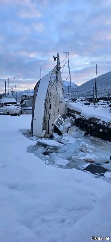 Солянка от 04.01.2026