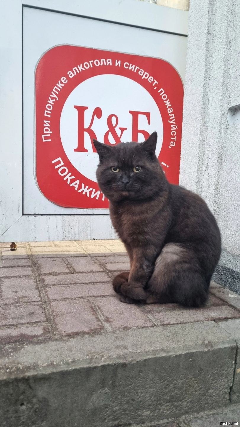 В магазинчике около дома