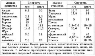 Чё ты рот разинул, жук-навозник, все давно измерено...