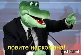 Планета с двойным дном: что, если под нашими ногами уже есть «вторая цивилизация»?