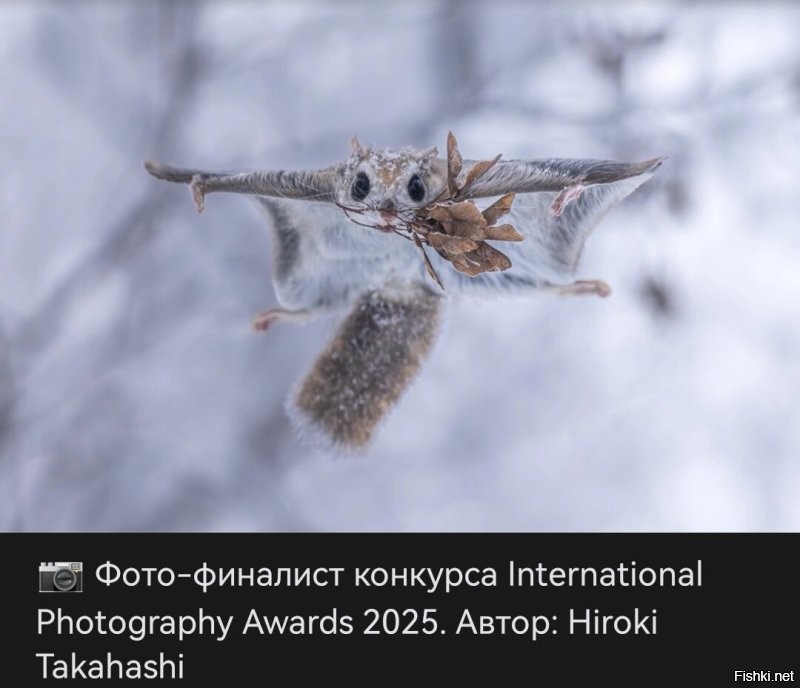 да, согласна, тоже выбирала между этими. 
Я ещё от этой улыбаюсь)