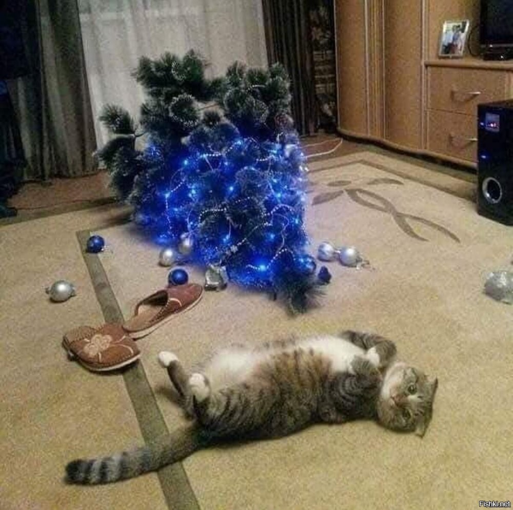 Солянка от 05.01.2026