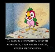 Как то и комментировать нечего . Свезло мальчонке , могло кончиться все много хуже .
Но дома то все будет иначе ...