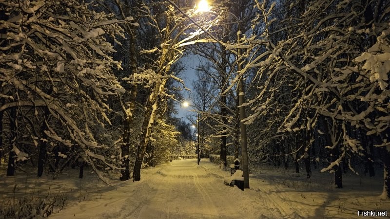 31.12 в 17:00 ходили с женой в Тропаревский парк. Заснеженные деревья, фонари, лыжники, собачники и романтические парочки всех возрастов. Красота!