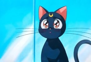 Косплей кошака Сейлор Мун не удался))) Пошёл по пинде))