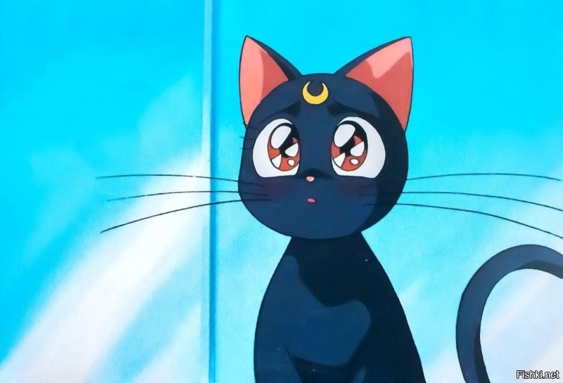 Косплей кошака Сейлор Мун не удался))) Пошёл по пинде))