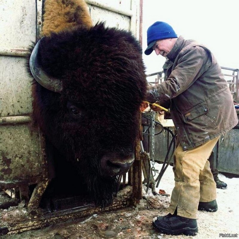 Чтобы понять размеры.