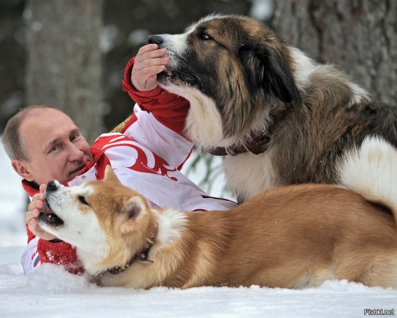 No comments...