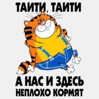 Тигров в зоопарке раскормили так, что они отказываются от мяса