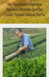 Просто гифки, всякие и&nbsp;разные