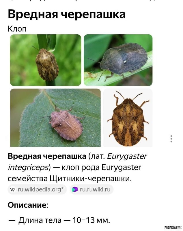 18 уникальных артефактов, которые изменят взгляд на вехи истории