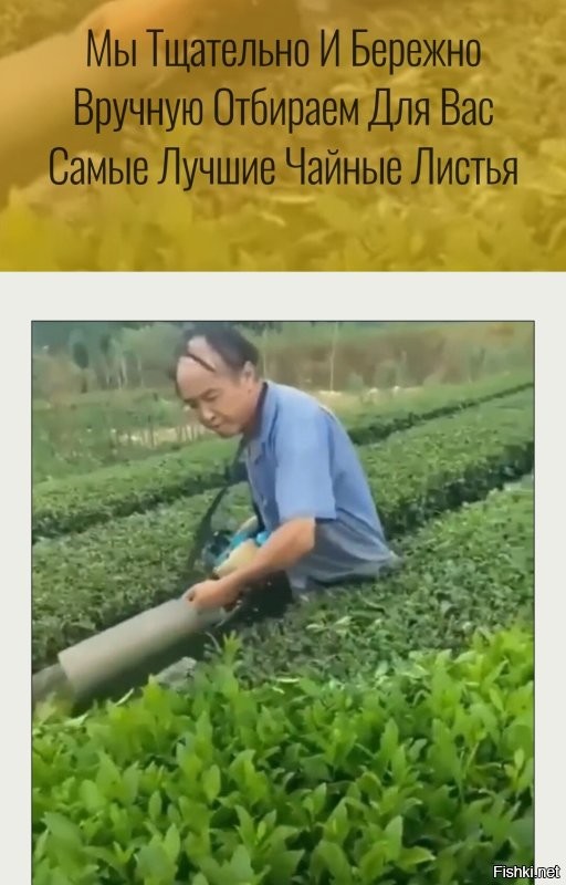 Просто гифки, всякие и&nbsp;разные