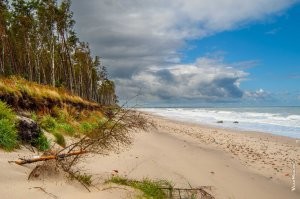 Ну прям обидно что не упомянута Куршская коса. Она тоже уникальна. Правда вот то знаменитое изогнутое в виде кольца дерево из Танцующего леса, сломал недавний предновогодний шторм. Его спилили и обещали законсервировать и выставить в музее. Да и Виштынецкий парк тоже классный, просто менее распиаренный. Последние три фото.