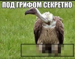 Можно подумать,что они взяли и организовали пресс-конференцию,на которой публично объявили : "ЭТО КОРАБЛЬ ИНОПЛАНЕТЯН,доказуха 100%."