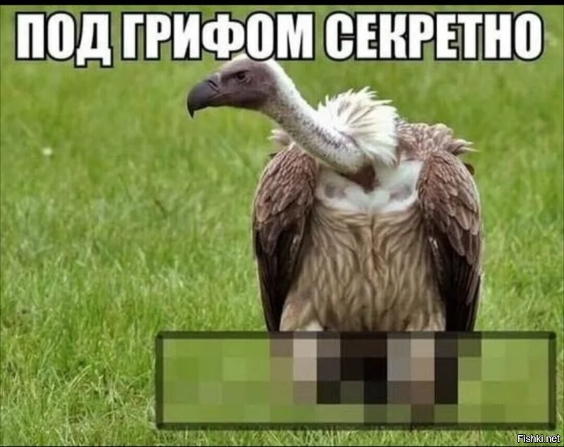 Можно подумать,что они взяли и организовали пресс-конференцию,на которой публично объявили : "ЭТО КОРАБЛЬ ИНОПЛАНЕТЯН,доказуха 100%."