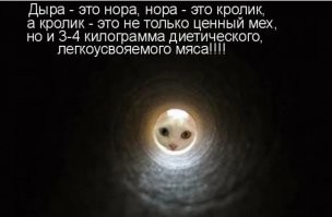Что внутри черных дыр: неожиданное предположение