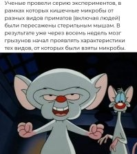 Новости науки: главные события на 7 января 2026 года