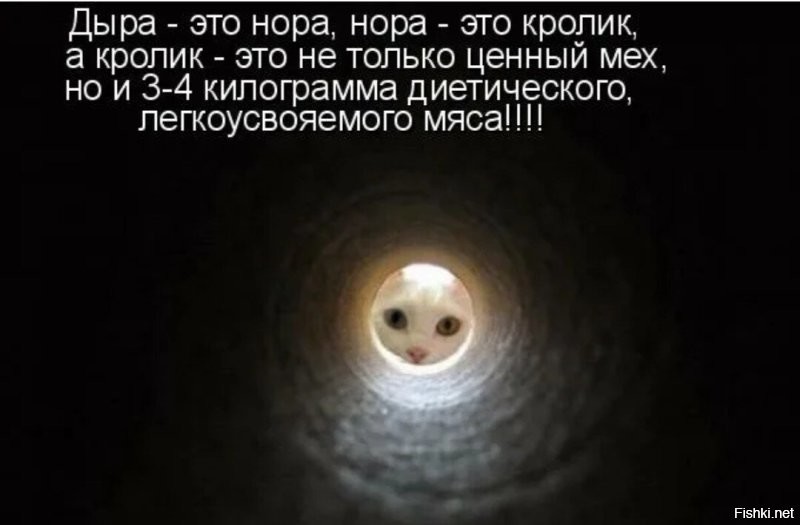 Что внутри черных дыр: неожиданное предположение