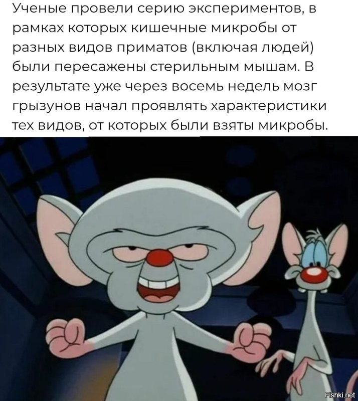 Новости науки: главные события на 7 января 2026 года