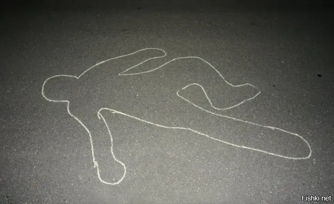 Солянка от 08.01.2026