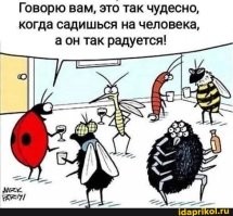 Божья коровка. Ядовитая кровь и вечный голод