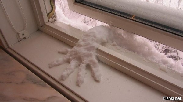 Солянка от 08.01.2026