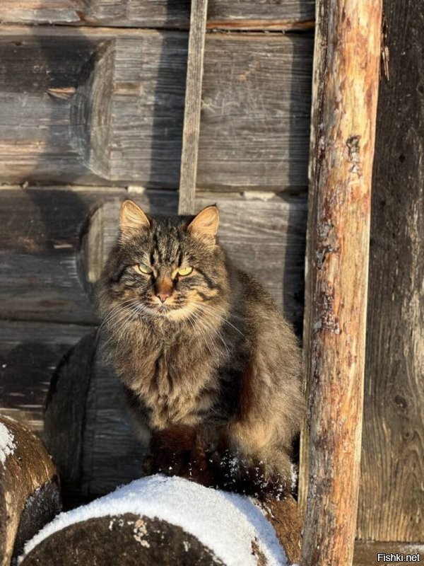 Солянка от 08.01.2026