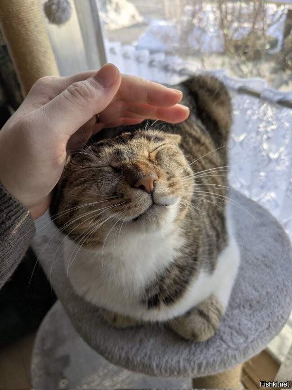 Солянка от 08.01.2026