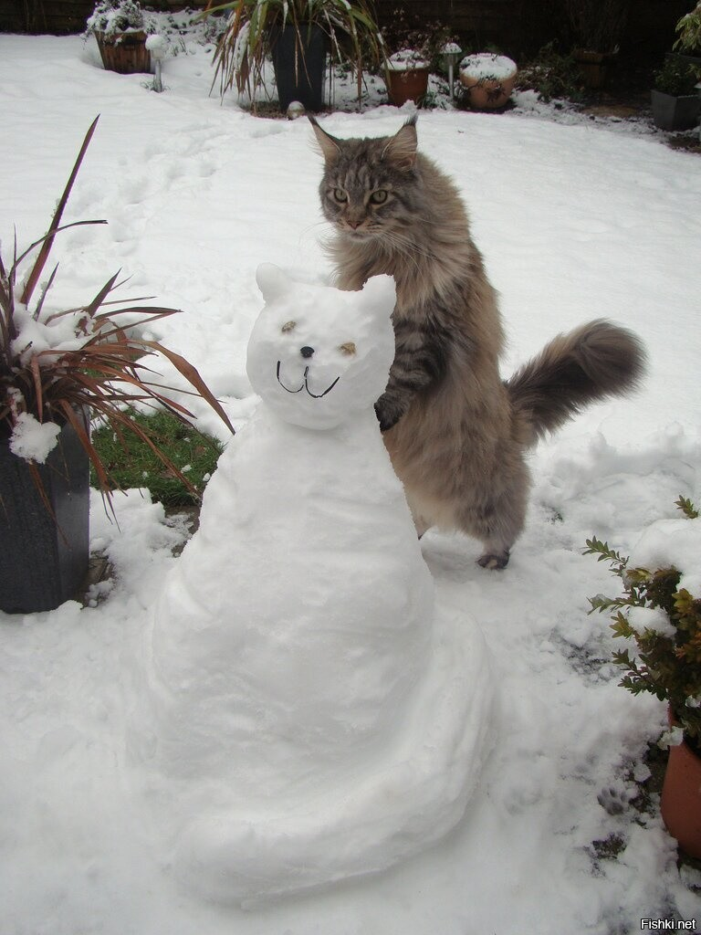 Солянка от 08.01.2026