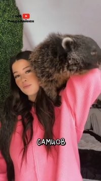 А мне вот эта самка больше всех понравилась. И да, я бы взял такую домой