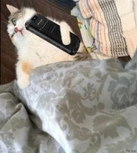 Свежие и прикольные демотиваторы