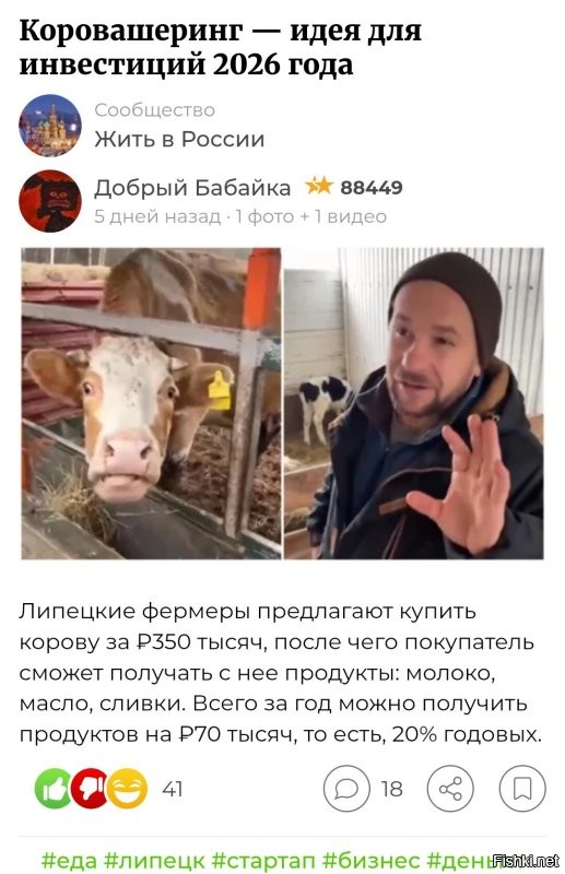 Фермеры из Липецка предлагают инвестировать в коров: доход до 20% годовых