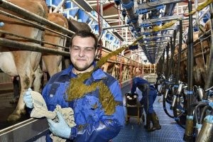 Будни фермера без прикрас: первый опыт на ферме