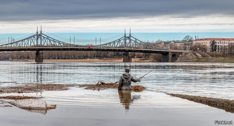 Солянка от 08.01.2026