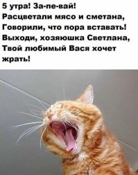 Большая тарелка улыбатора