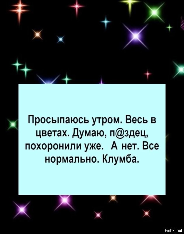 Солянка от 09.01.2026