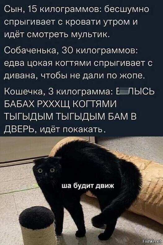 Солянка от 09.01.2026