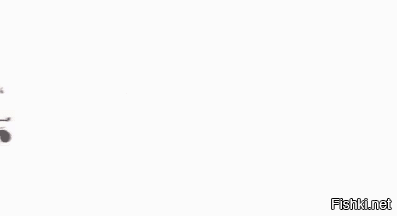 Не пройдёшь!