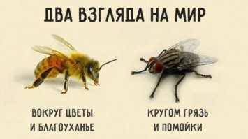 Свинья везде грязь найдет
