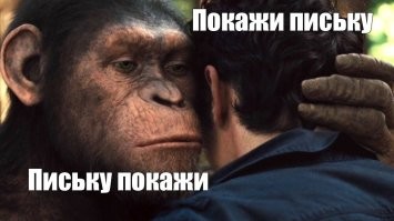 Густые кудрявые волосы: радости и трудности ухода