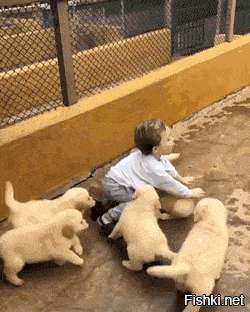 Они готовы порвать его но чтот то не то.