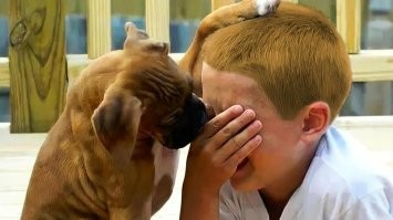 Друг человека-фотоконкурс