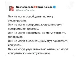Как у него всегда точно выходит описание этого свинарника, под названием Окраина!