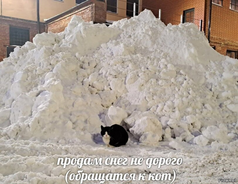 Солянка от 10.01.2026