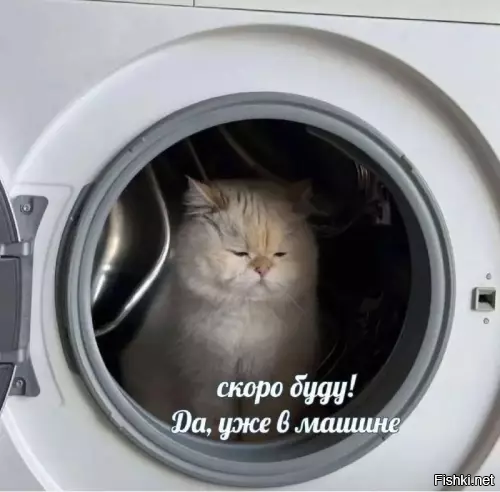 Солянка от 10.01.2026